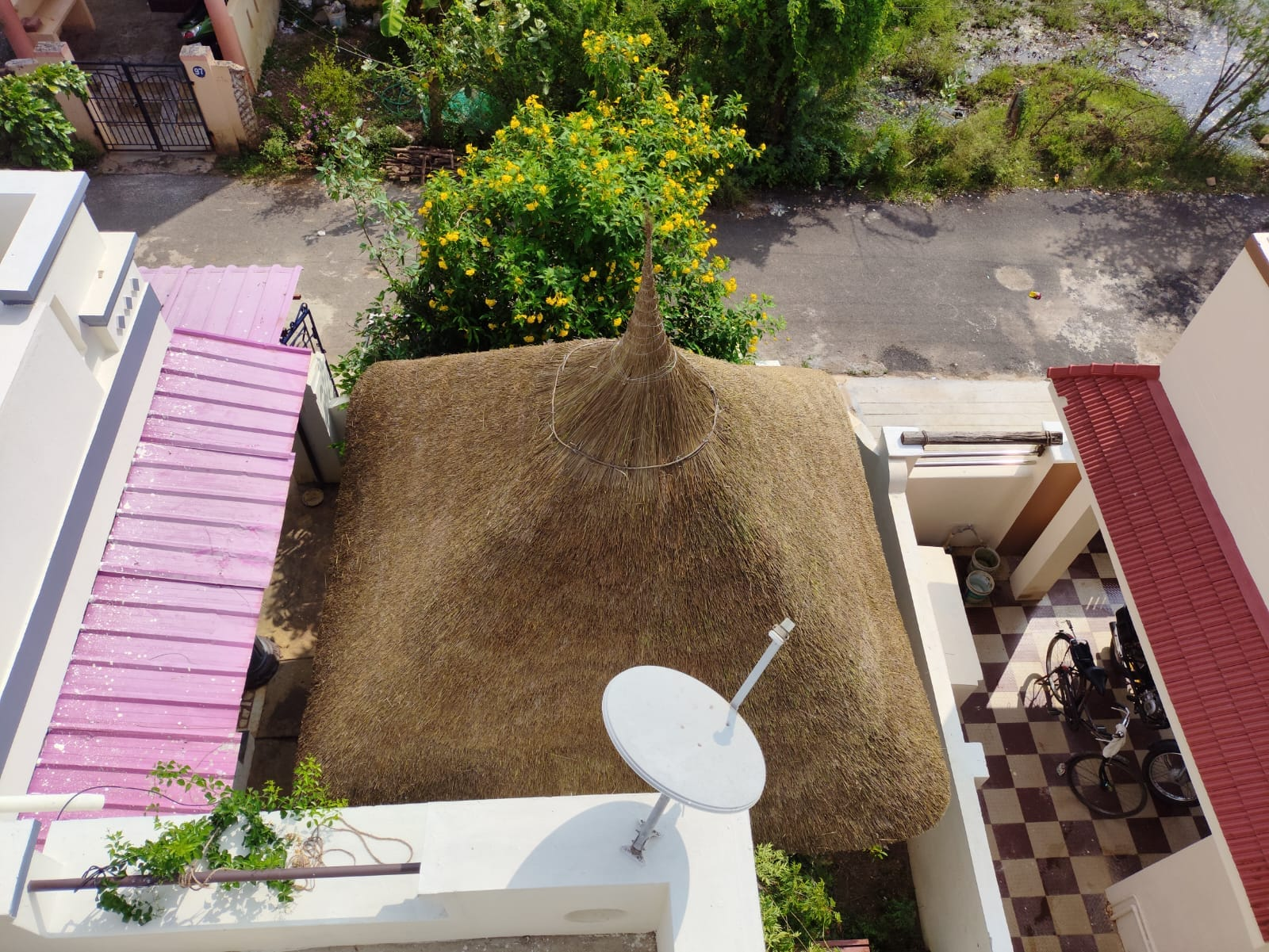 Thatched roof hut standing in a coconut grove plantation